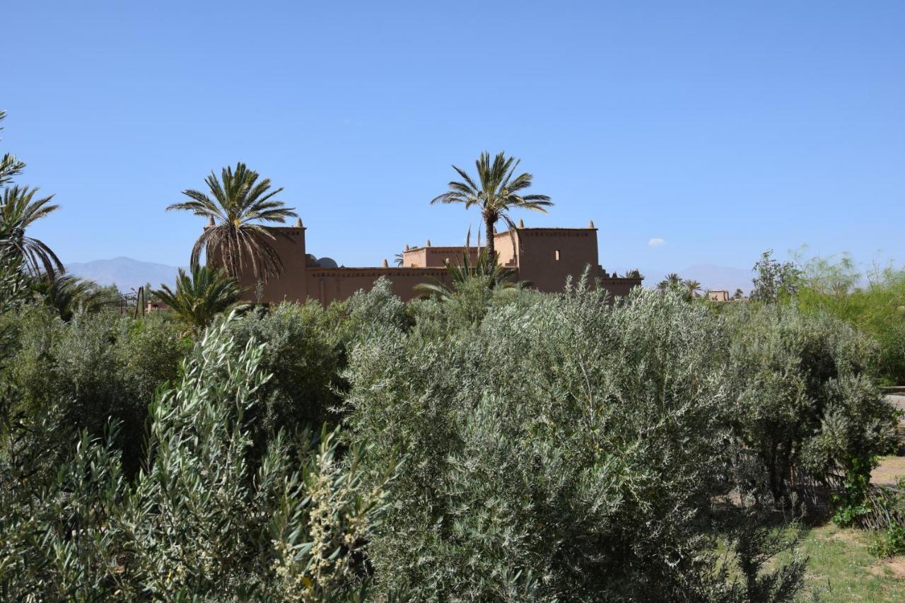 Готель Kasbah 123 Soleil Скура Екстер'єр фото